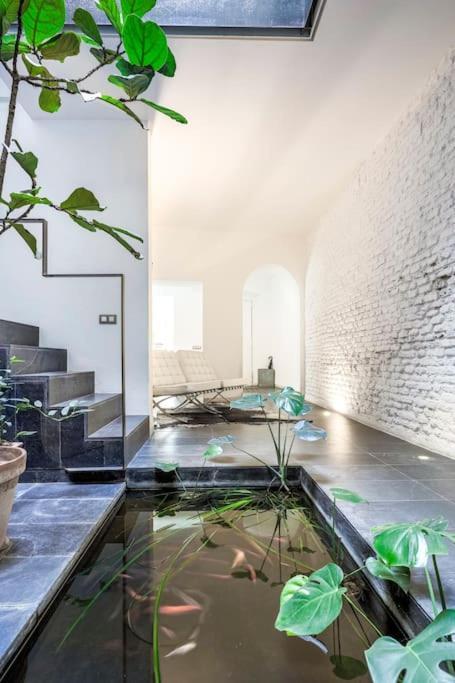 Elegante Duplex Centro Sevilla Matahacas 1 Εξωτερικό φωτογραφία